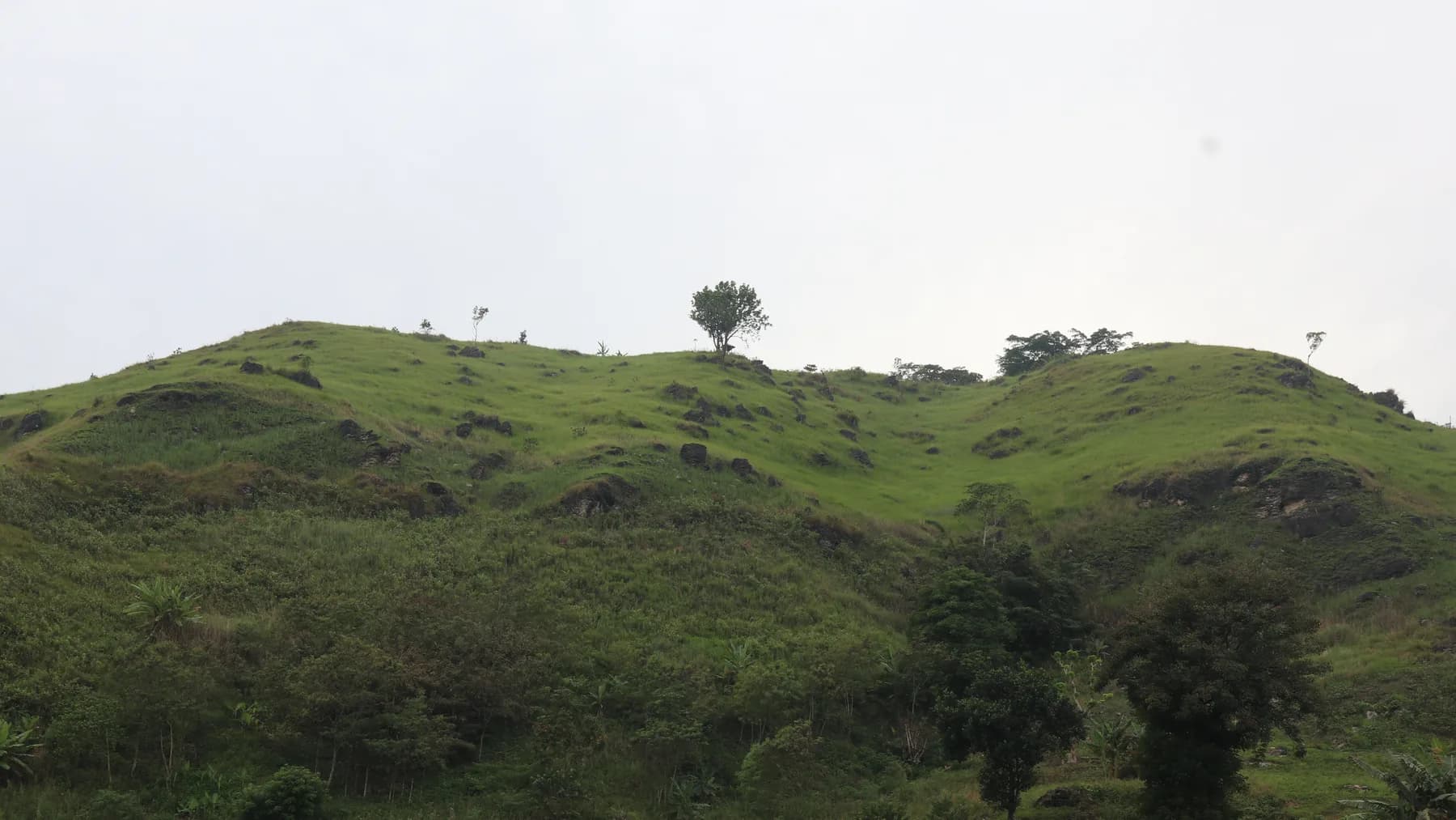 Rolling green highlands above Impasug-ong, Bukidnon
