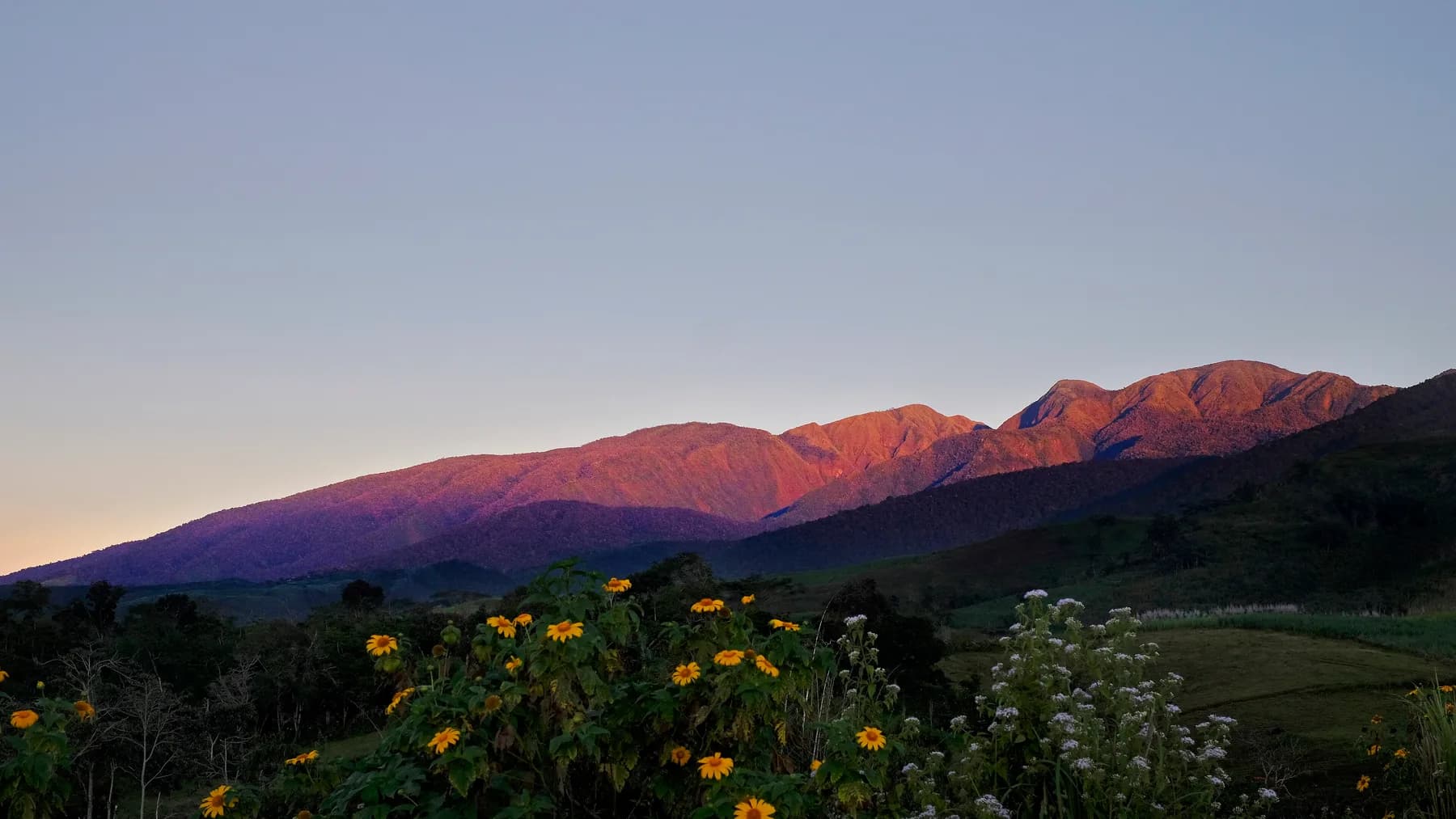 Alpenglow sunrise over Mt. Kalatungan, Bukidnon