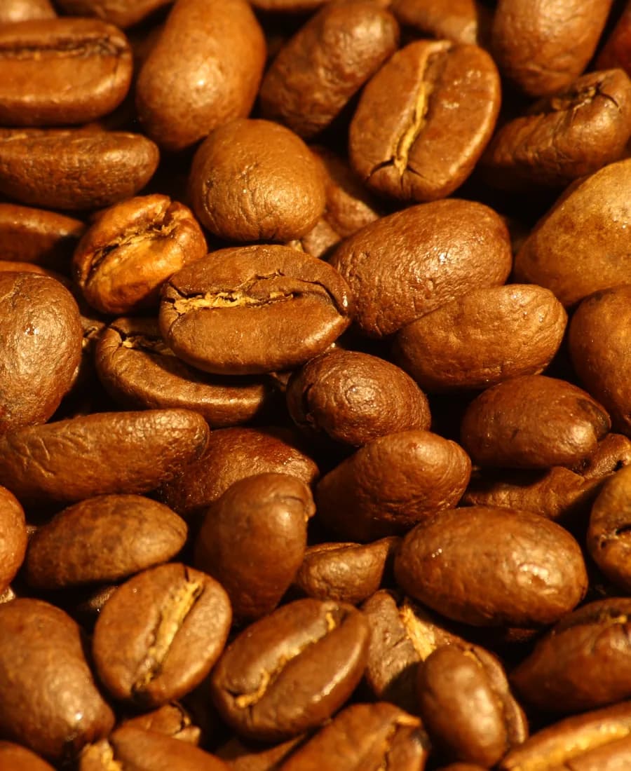 Close-up of roasted arabica coffee beans