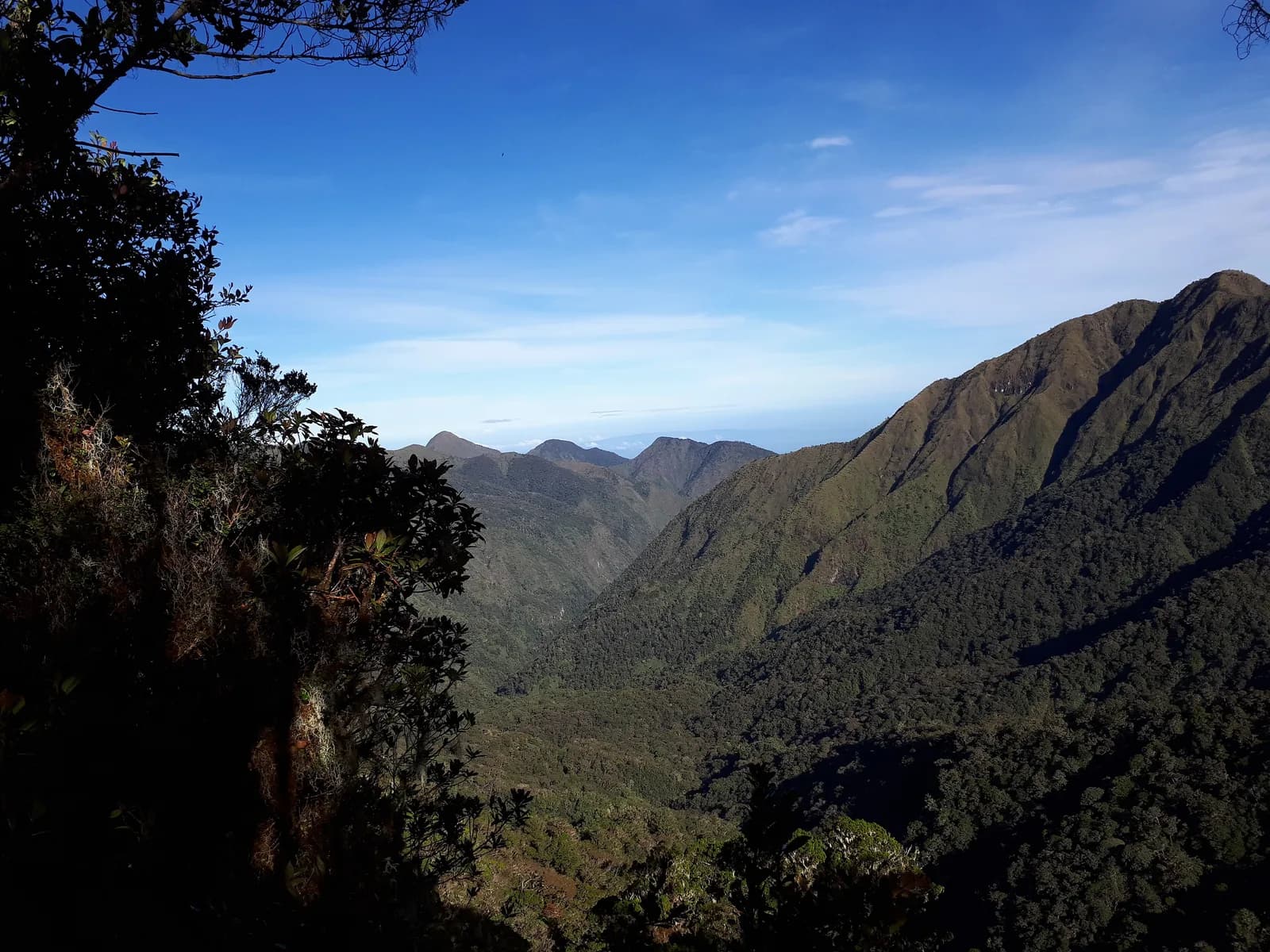 Summit ridge of Mt. Kitanglad rising through cloud forest