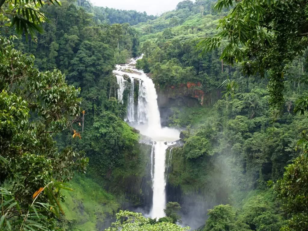 Limunsudan Falls in the Bukidnon forest